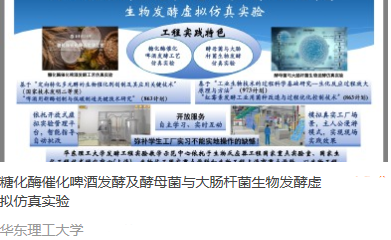 华东理工大学 糖化酶催化啤酒发酵及小牧菌与大肠杆菌生物发酵虚拟仿真实验