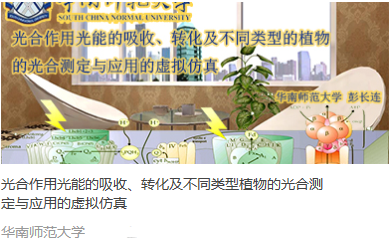华南师范大学 光合作用光能的吸收、转化及不同类型植物的光合测定与应用的虚拟仿真